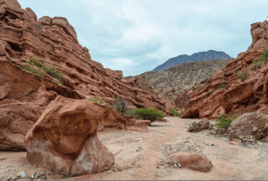 Quebrada_de_Las_Conchas