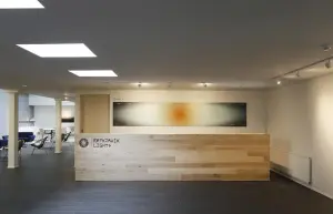 Reykjavik Lights, reception