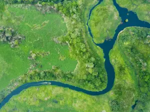 Rivers_Kalimantan