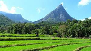 knuckle-Mountain-Range_srilanka
