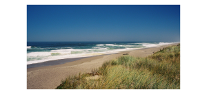 Sudafrica_Hermanus
