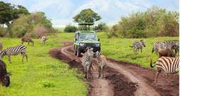 Sudafrica_Inverdoorm_Game_Reserve