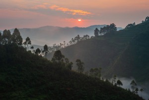 Sunset_in_Bwindi