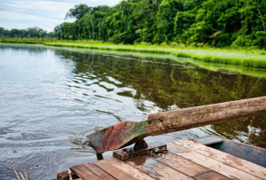 tambopata_2