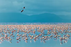 Tanzania_Lake_Manyara_National_Park