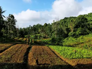 Tenggarong_Indonesia