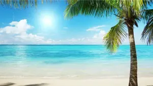 The_Royal_Sands_beach