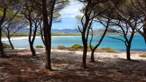 valtur-sardegna-baia-dei-pini-resort-1578580946-1636496632