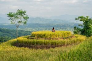 VietnamAvanaRetreat1