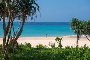 WaAleIslandResSpiaggia