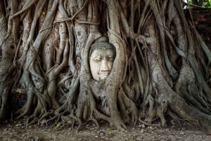 Wat_Mahathat_Ayutthaya