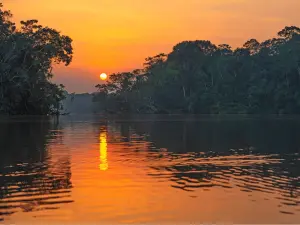 Yasuni_National_Park
