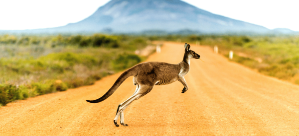 Australia paesaggio
