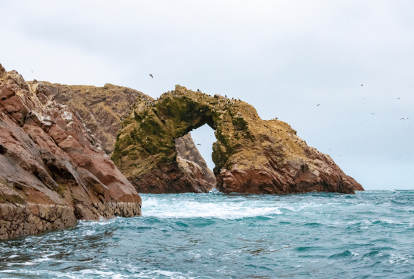 ballestas
