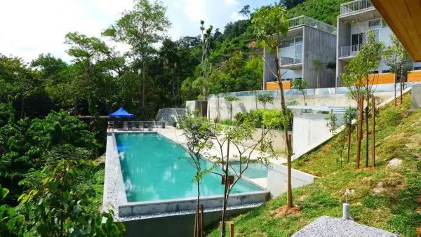 belum_rainforest_resort