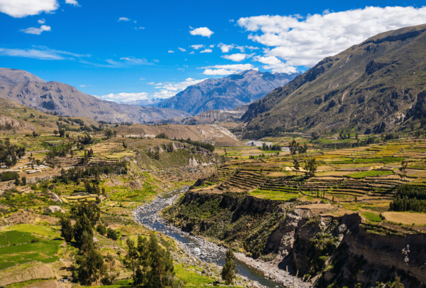colca__2_