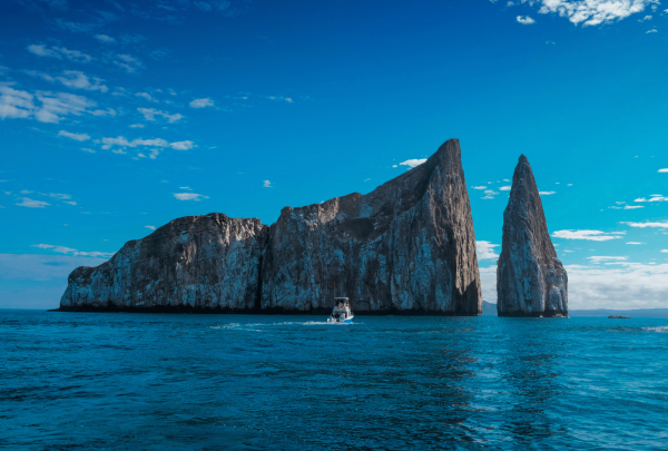 galapagos