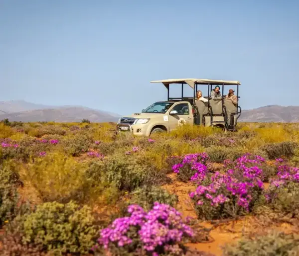 Inverdoorn-Private-Game-Reserve-Spring-Safari-in-the-Karoo-copy-1