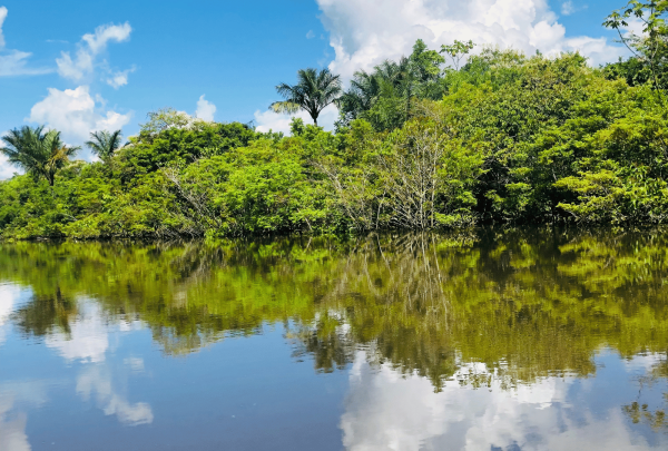 iquitos