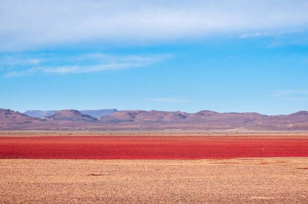 Marocco_Desert_Maidr_3