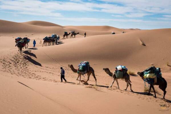 Marocco_Desert_Maidr_5