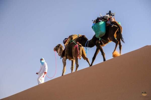 Marocco_Desert_Maidr_6