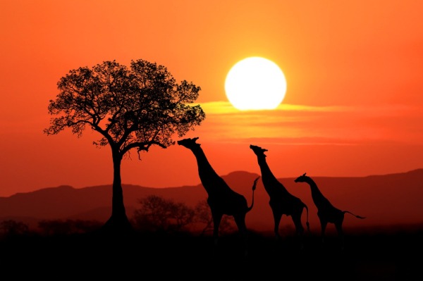 ok_tramonto