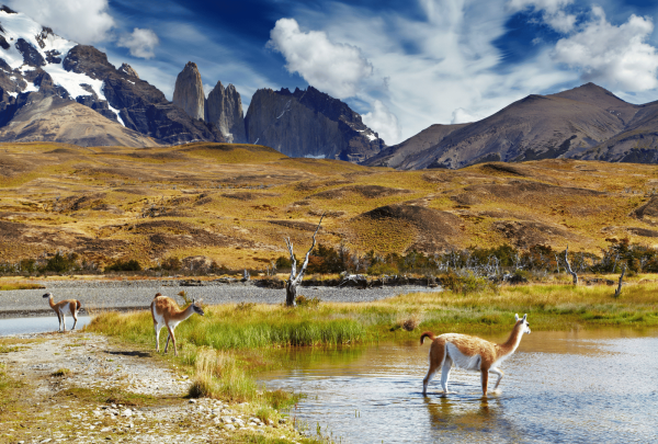 Parco_Nazionale_Torres_del_Paine