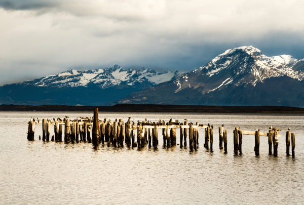 puerto_natales