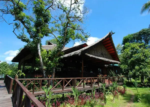 sukau_-_bilit_rainforest_lodge