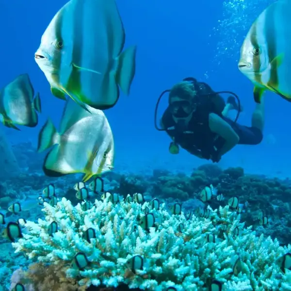 TipologieHomeDiving2