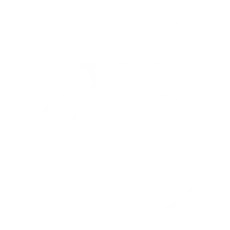 TipolWhiteBici