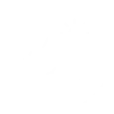 TipolWhiteMontagne