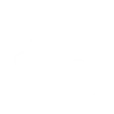 TipolWhiteSelfdrive