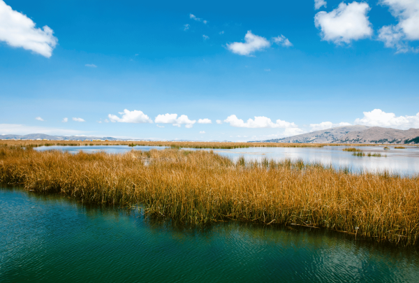 titicaca_0