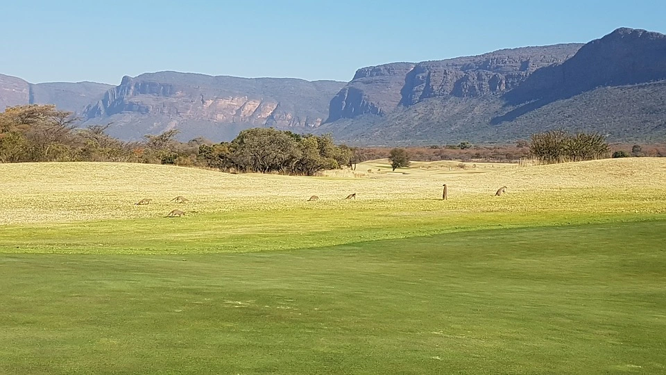 africa-2021186_960_720