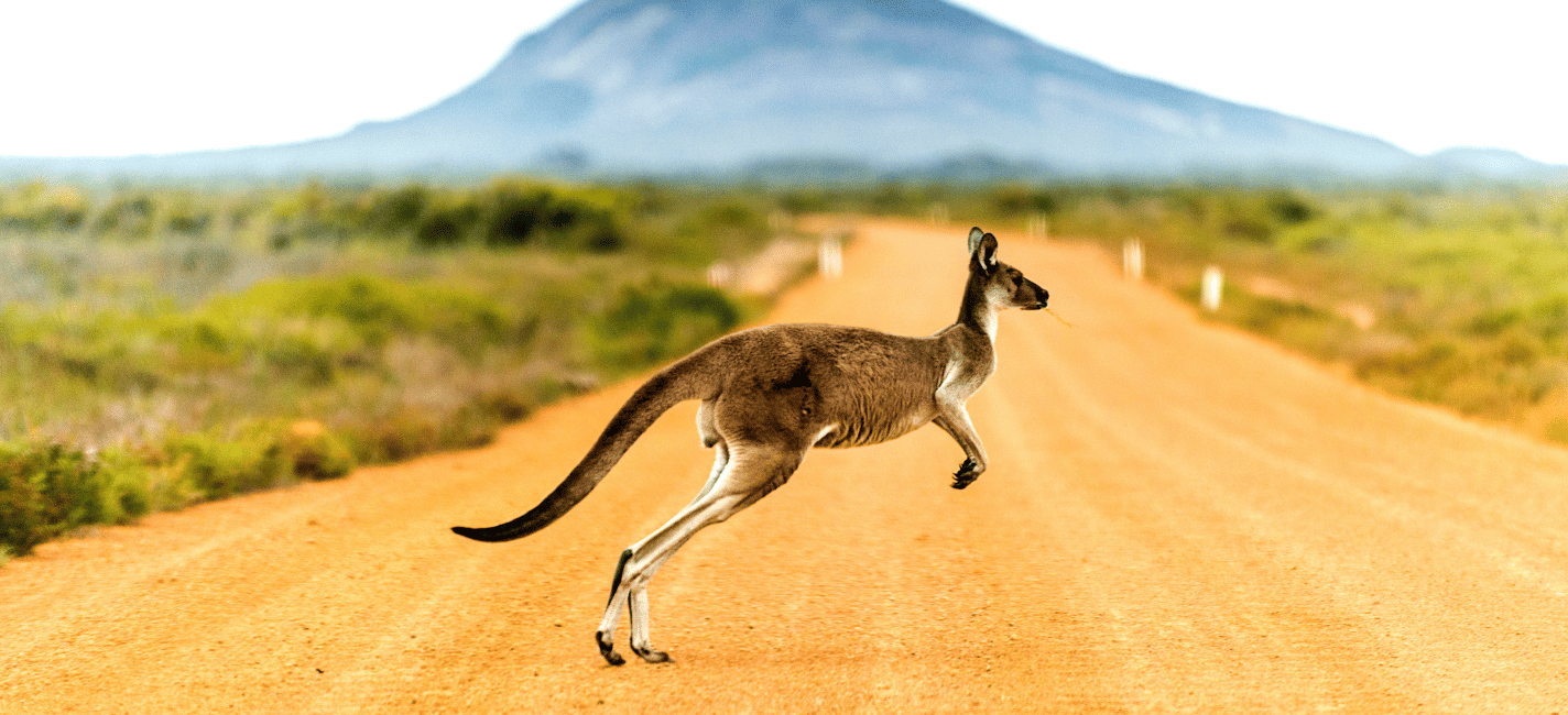 Australia paesaggio