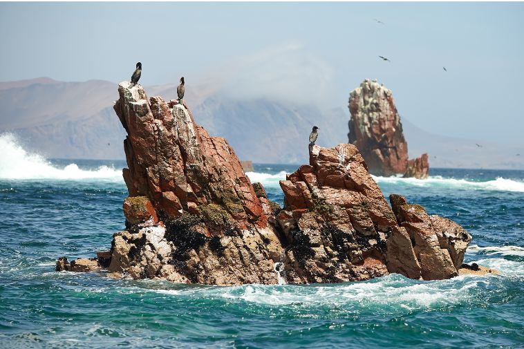 Ballestas_new