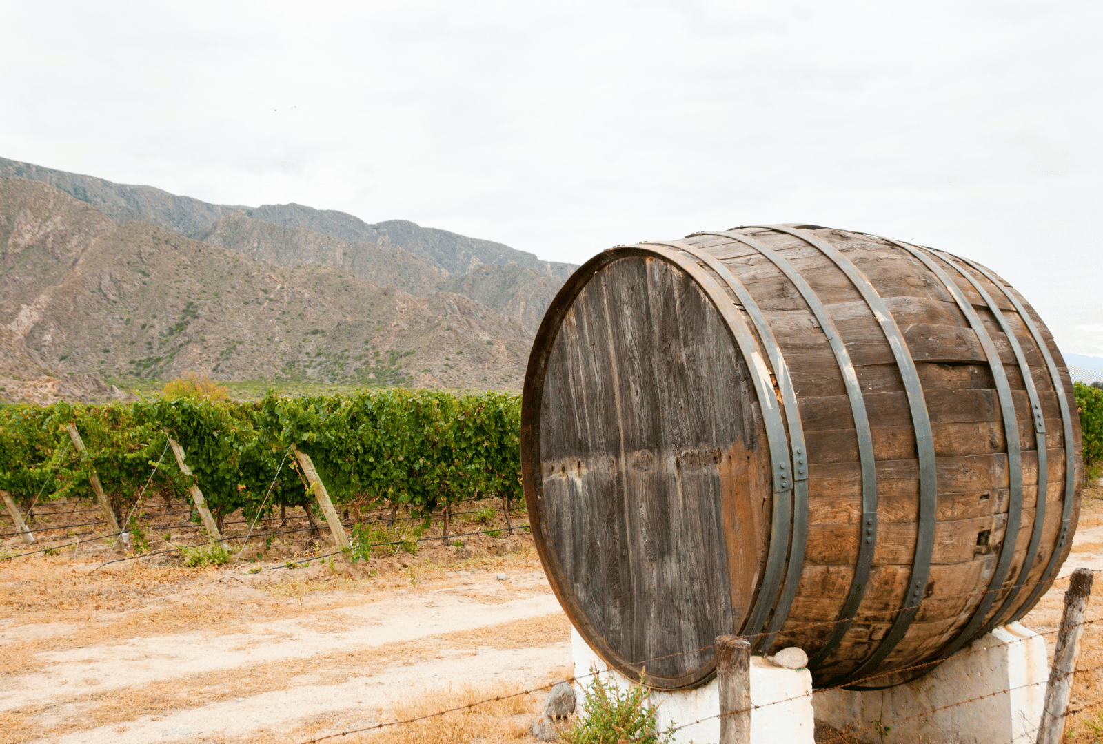 cafayate_1