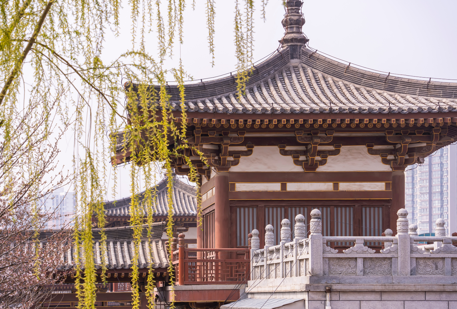 cina_tempio_qinlong
