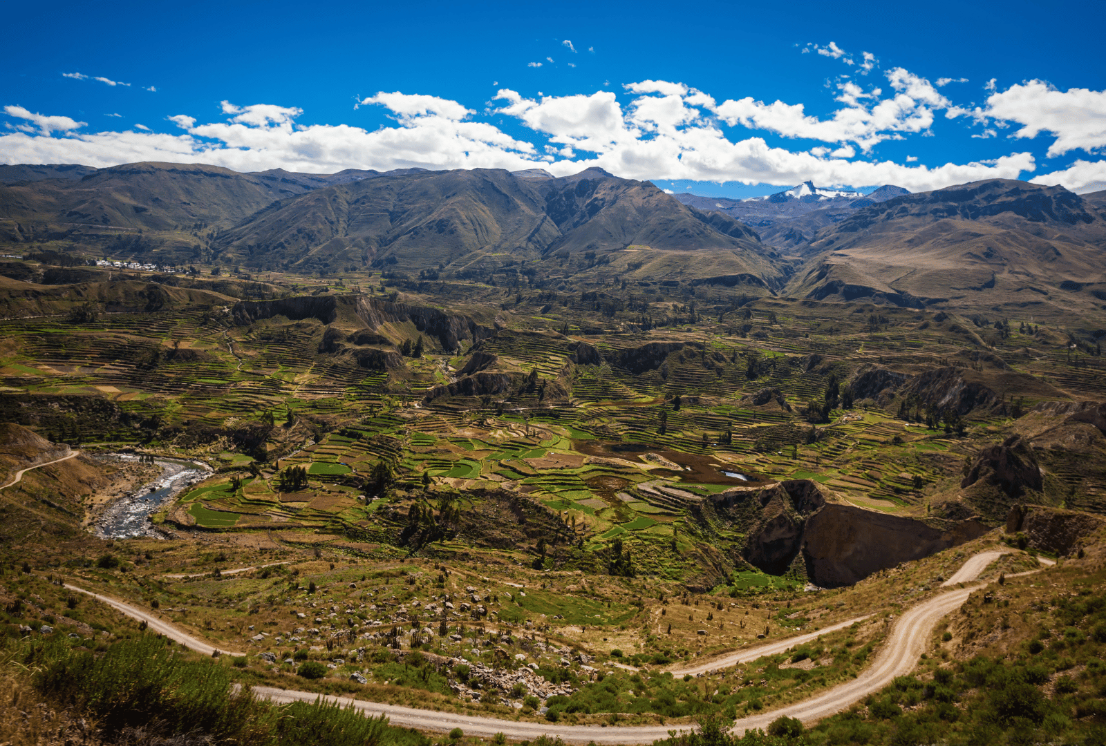 colca__4_