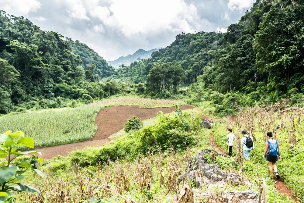 Easia_Travel_Luang_Prabang_-_Hike_from_Ban_Long_Tao_to_Kuang_Sy_Waterfalls_LAOS_Luang-Prabang_LAO0024_HiRes__85R0030-1000px