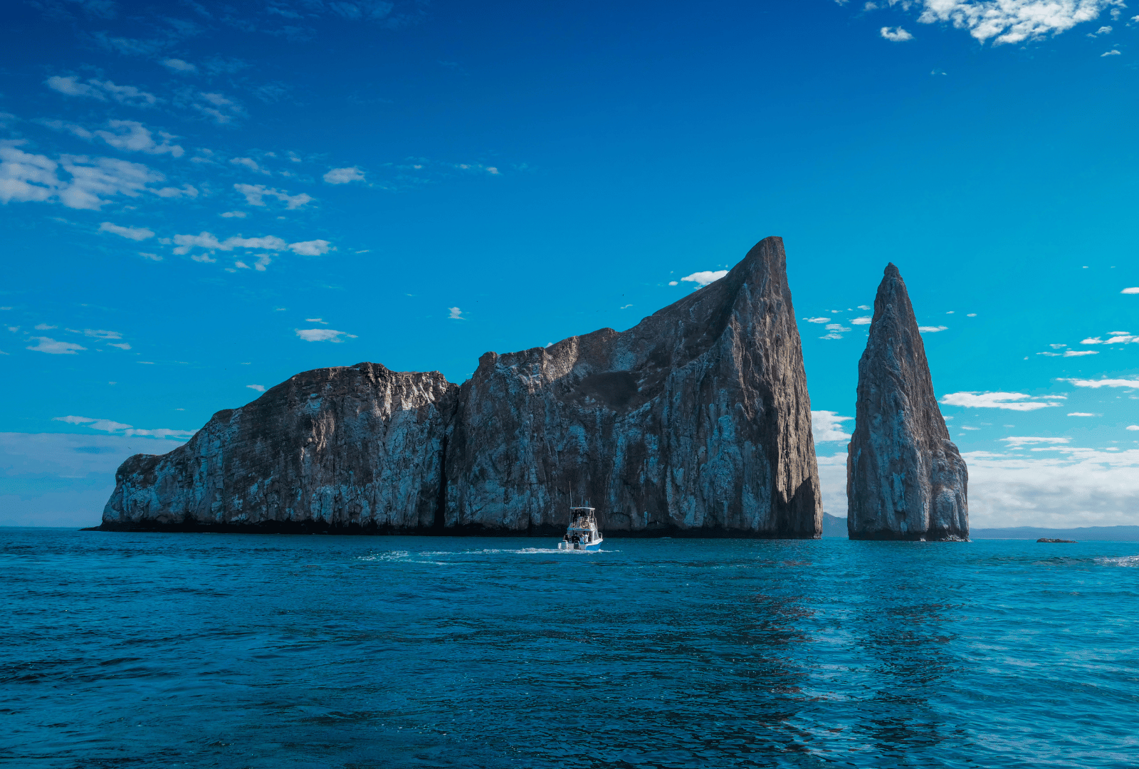 galapagos