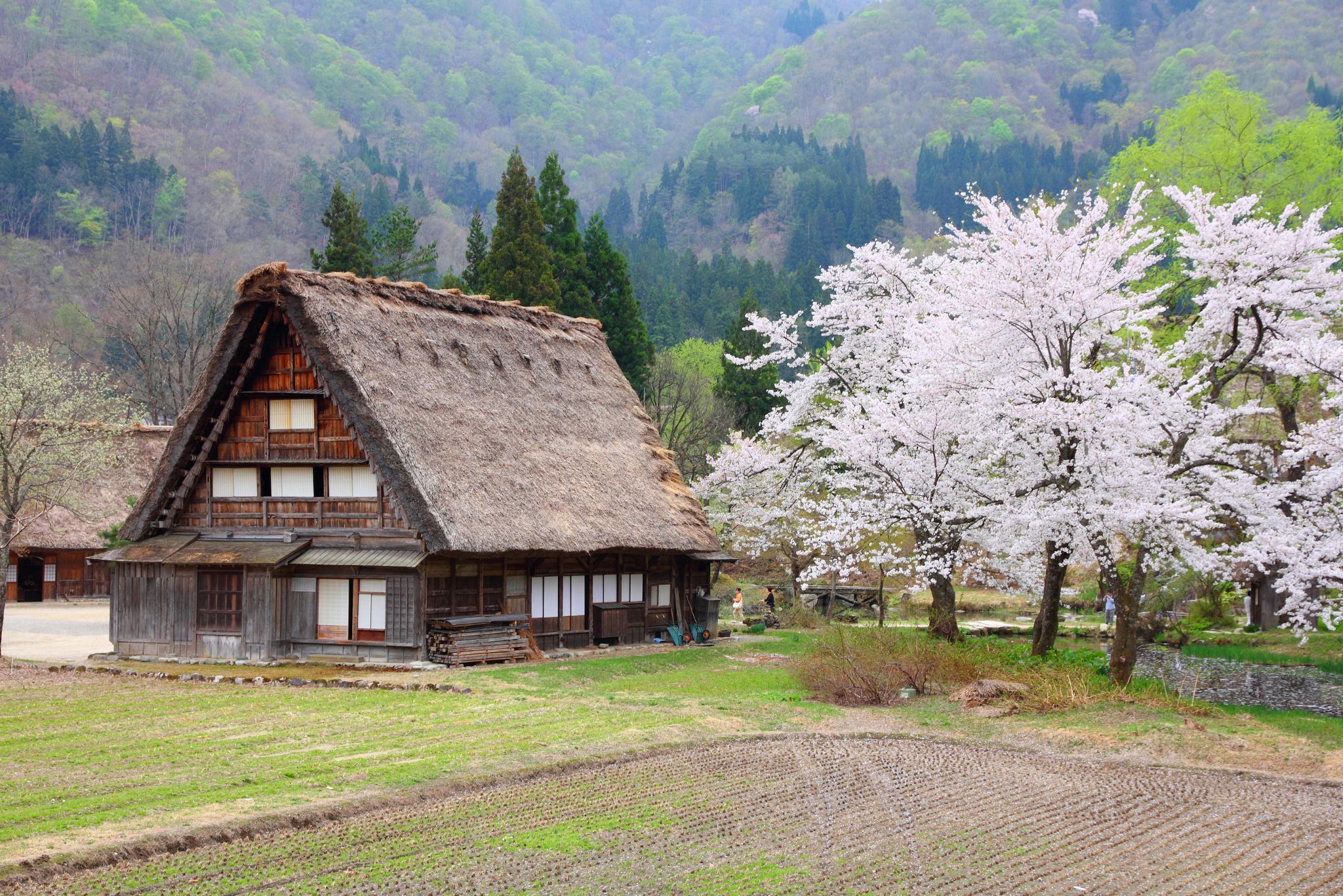 Giappone_Shirakawa_Go