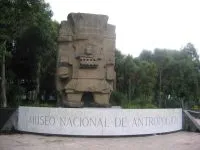 img_element_12217_un-biologo-al-museo-di-antropologia