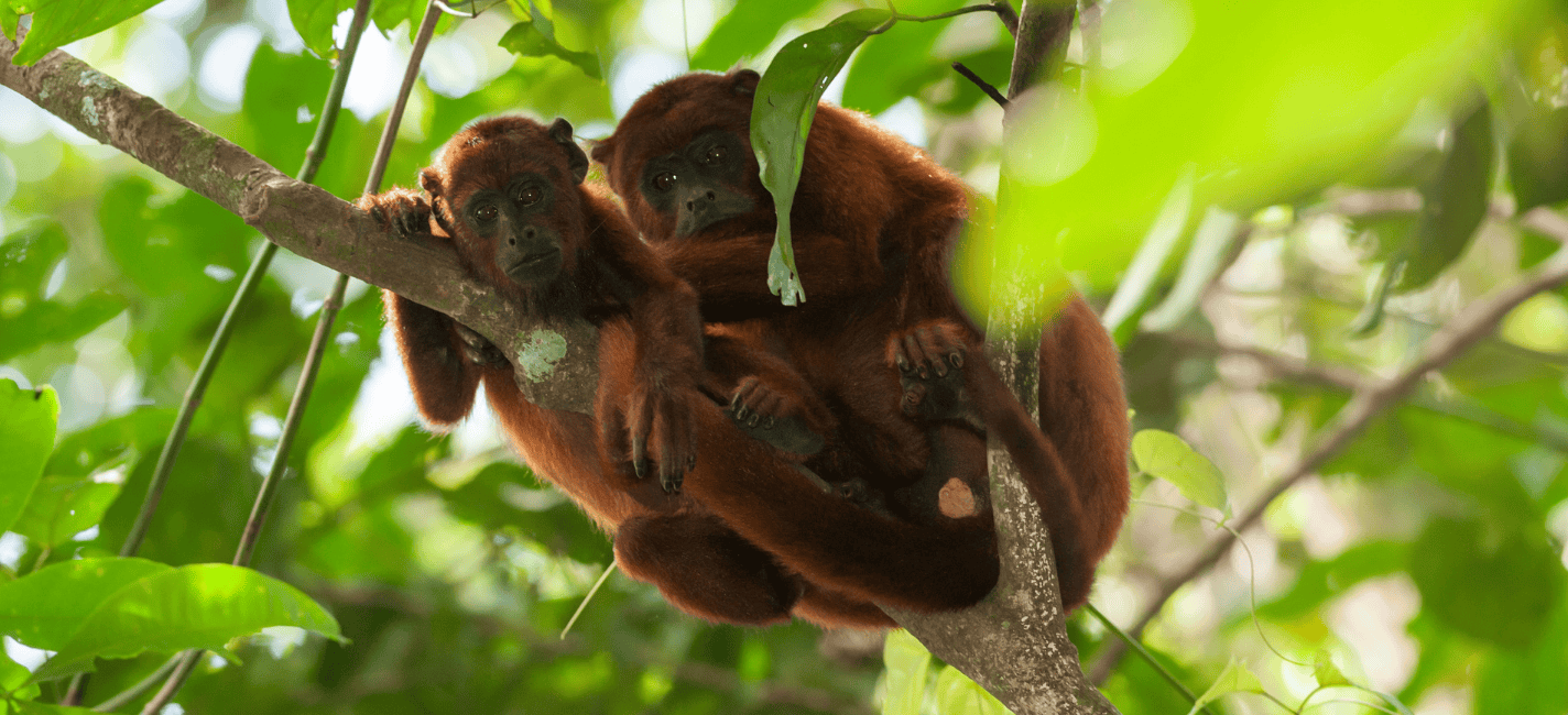 inkaterra