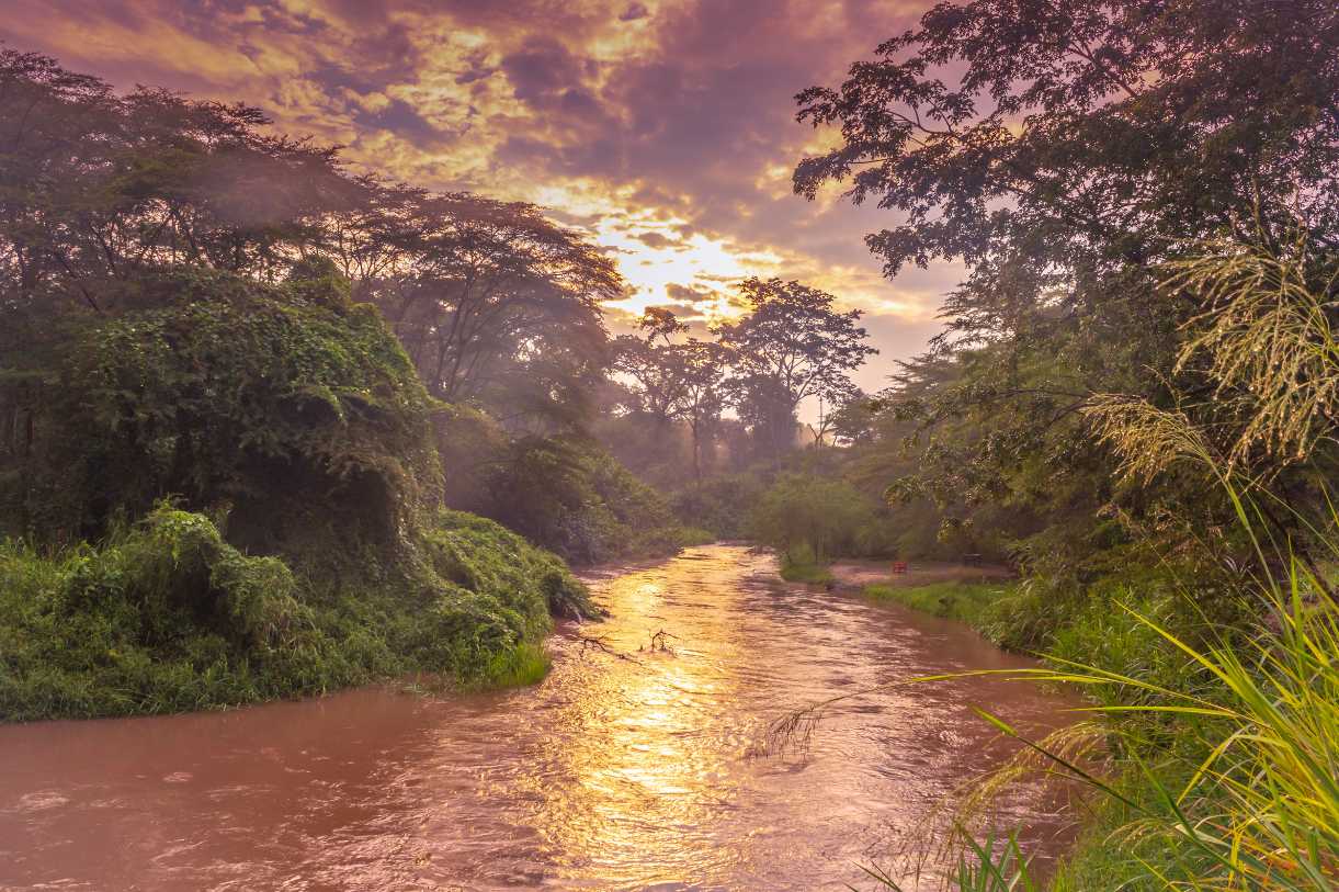 Ishasha_river