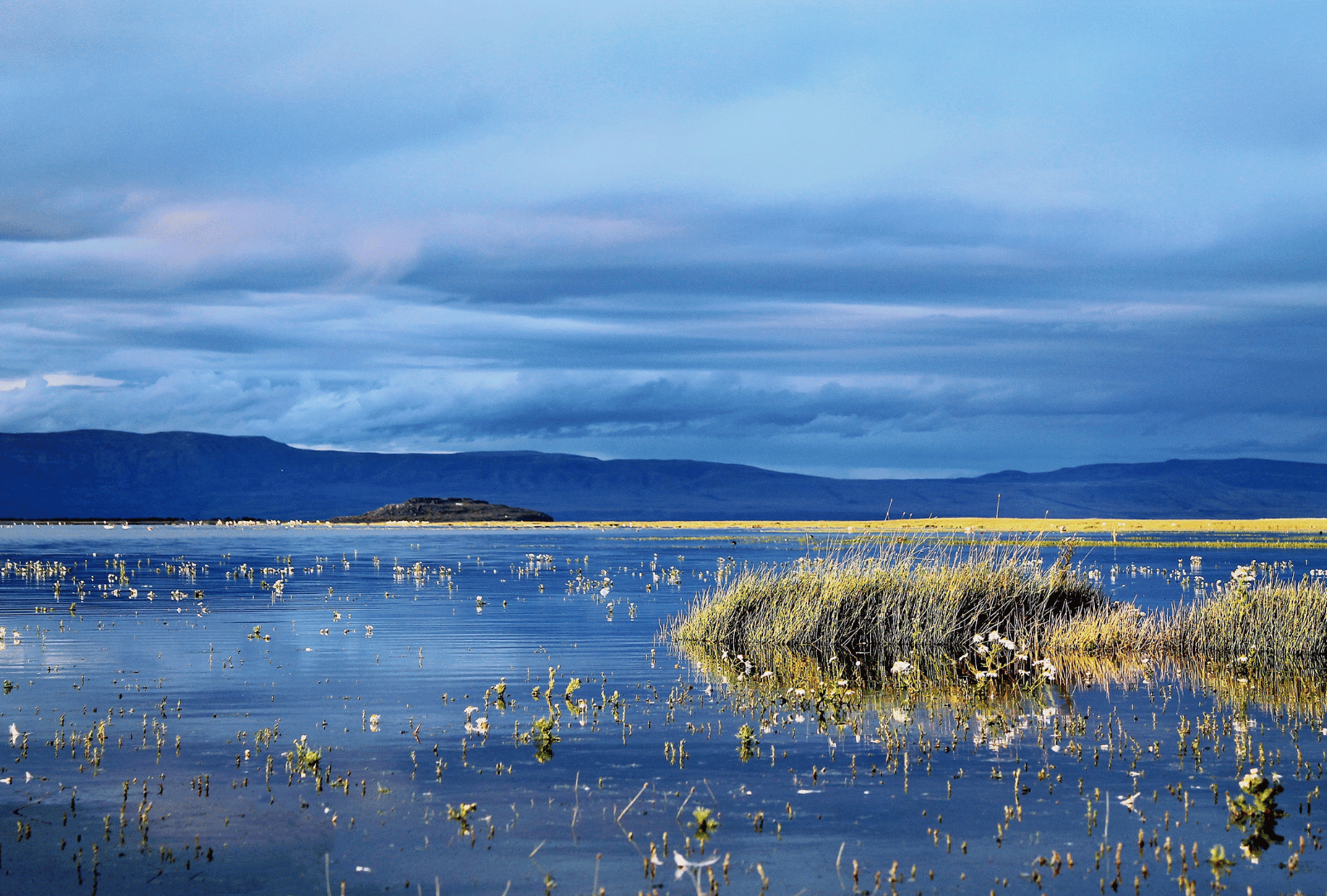 lago_argentino
