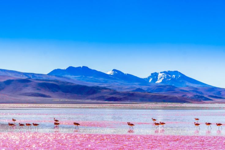 Lagune_Altipalniche__Bolivia