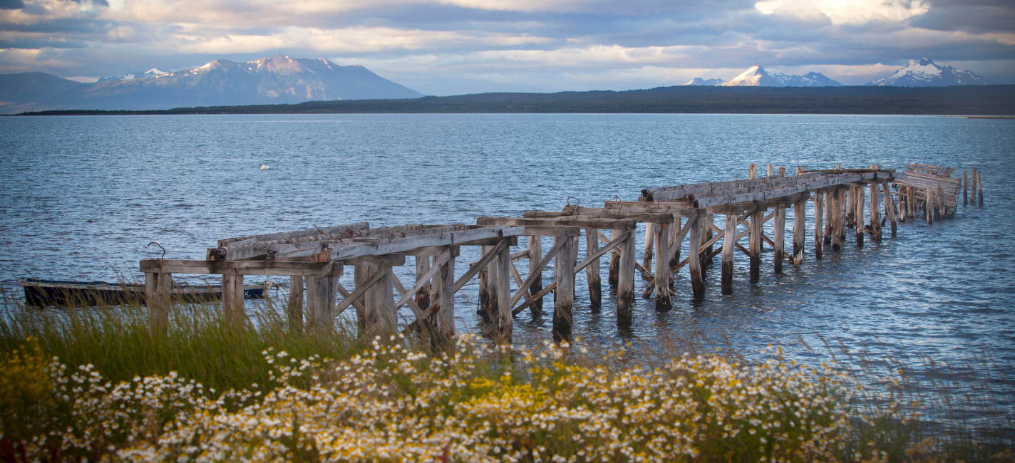 l_essenza_della_patagonia